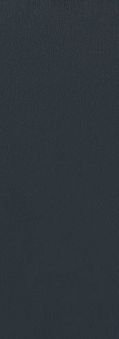 Anthracite Grey color swatch