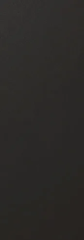 Ash Black color swatch